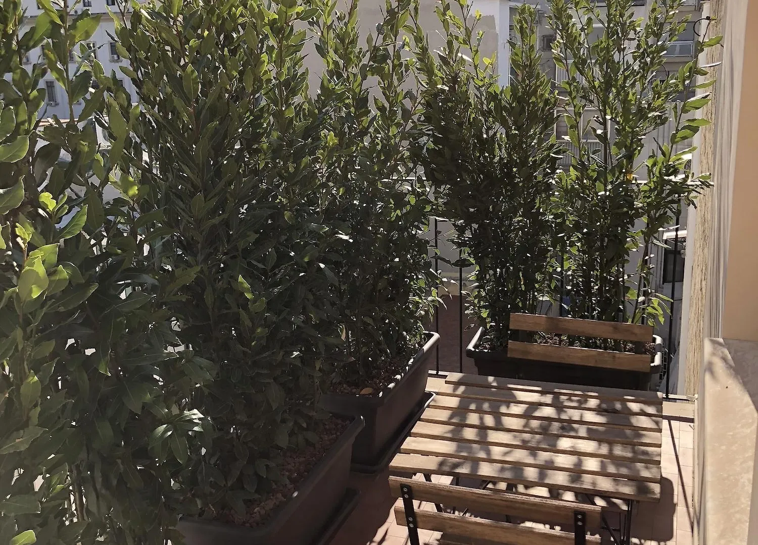 200 Rooms & Terrace Bari