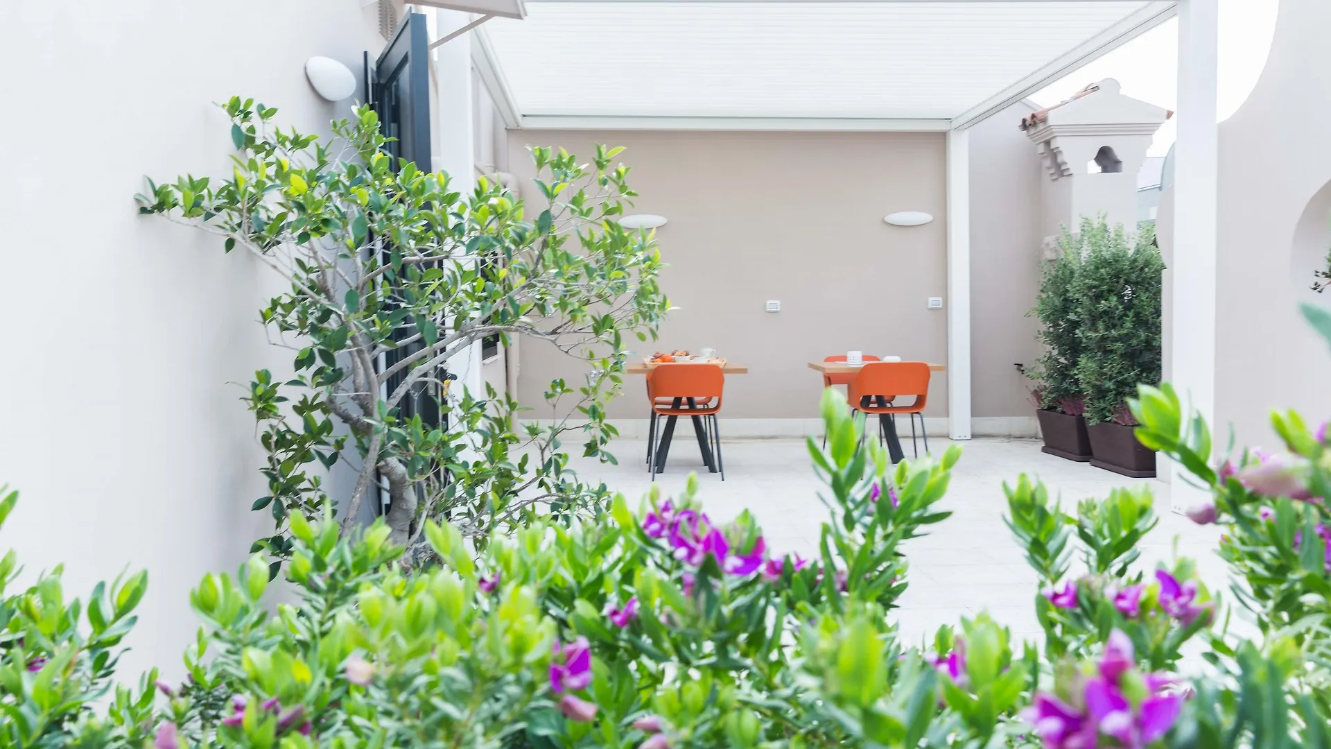*** Bed & Breakfast 200 Rooms & Terrace Bari Italy
